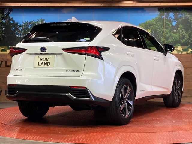 LEXUS NX300h