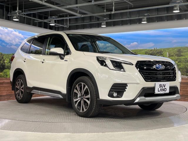 FORESTER