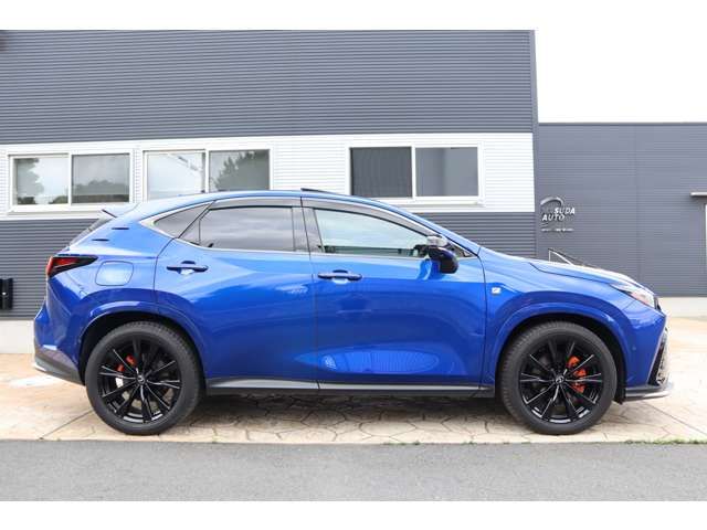LEXUS NX450h+ AWD