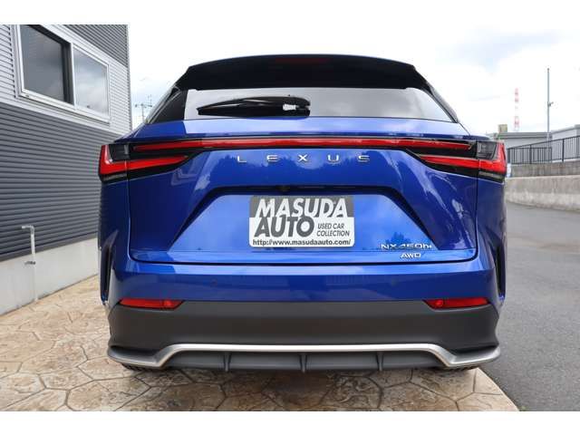 LEXUS NX450h+ AWD