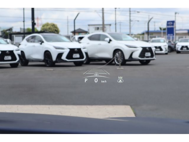 LEXUS NX450h+ AWD