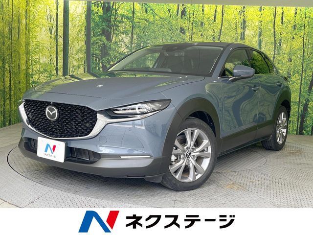 CX-30