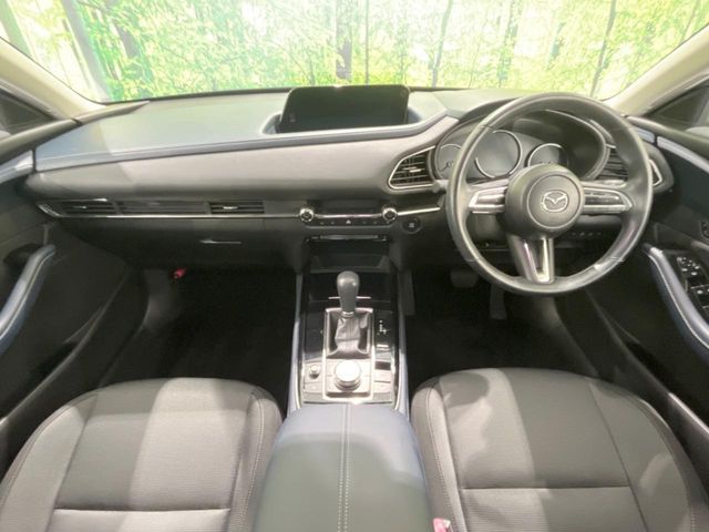 CX-30