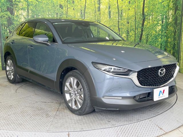 CX-30