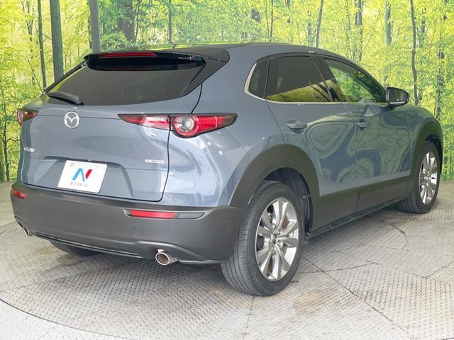 CX-30