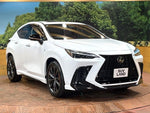 LEXUS NX350h AWD