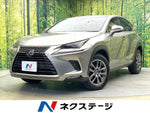 LEXUS NX300