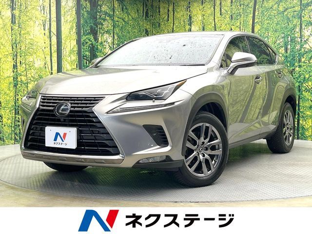 LEXUS NX300