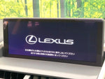 LEXUS NX300