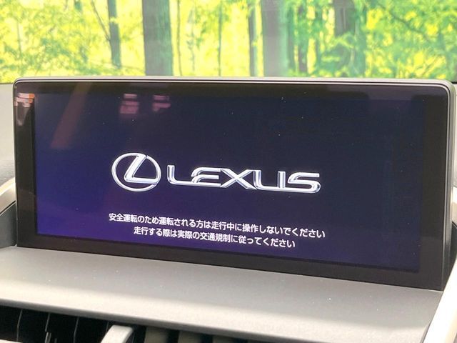 LEXUS NX300