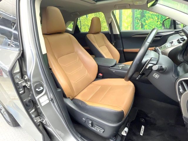 LEXUS NX300