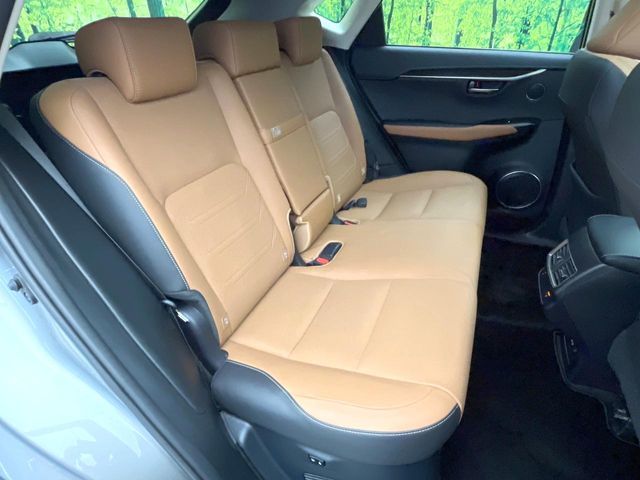 LEXUS NX300