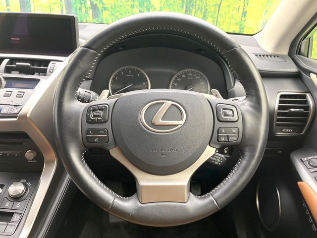 LEXUS NX300