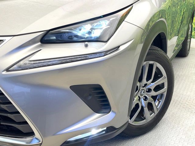 LEXUS NX300