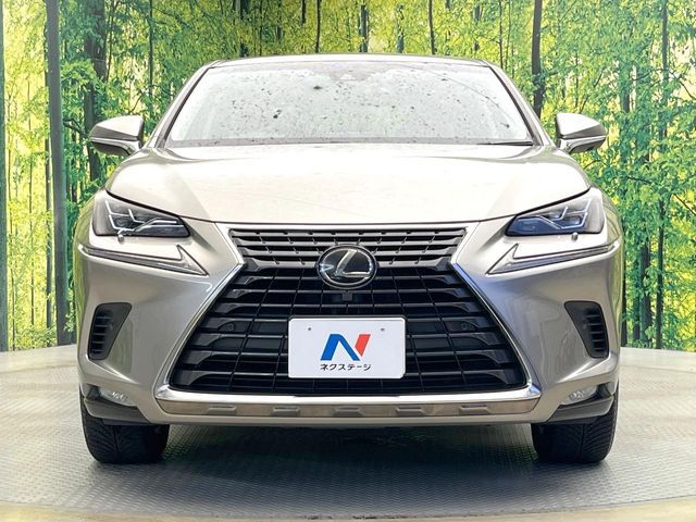 LEXUS NX300