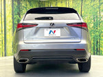 LEXUS NX300