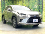 LEXUS NX300
