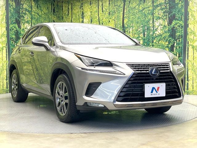 LEXUS NX300