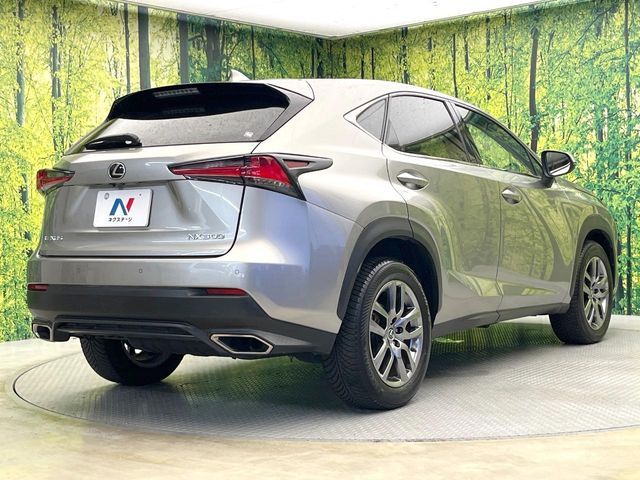 LEXUS NX300