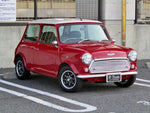 ROVER MINI