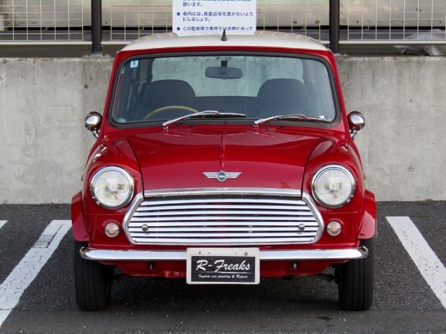 ROVER MINI