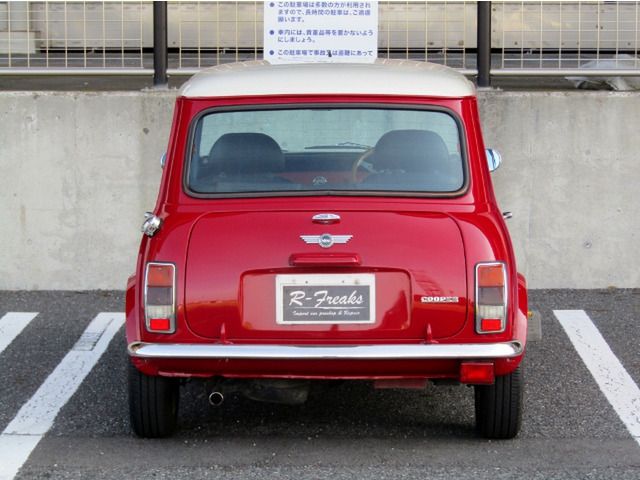 ROVER MINI