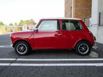 ROVER MINI
