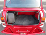ROVER MINI