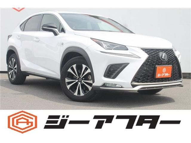 LEXUS NX300