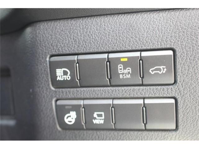 LEXUS NX300