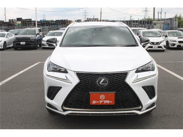 LEXUS NX300
