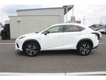 LEXUS NX300