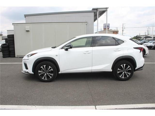 LEXUS NX300