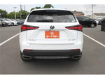 LEXUS NX300
