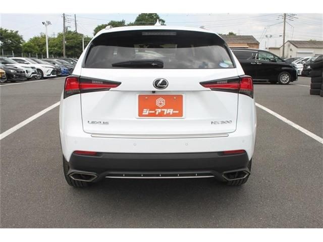 LEXUS NX300