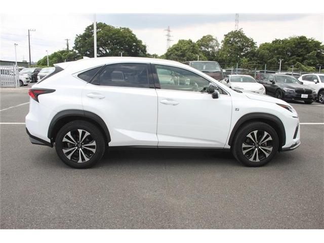 LEXUS NX300