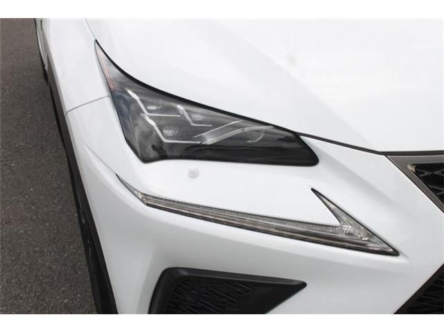 LEXUS NX300