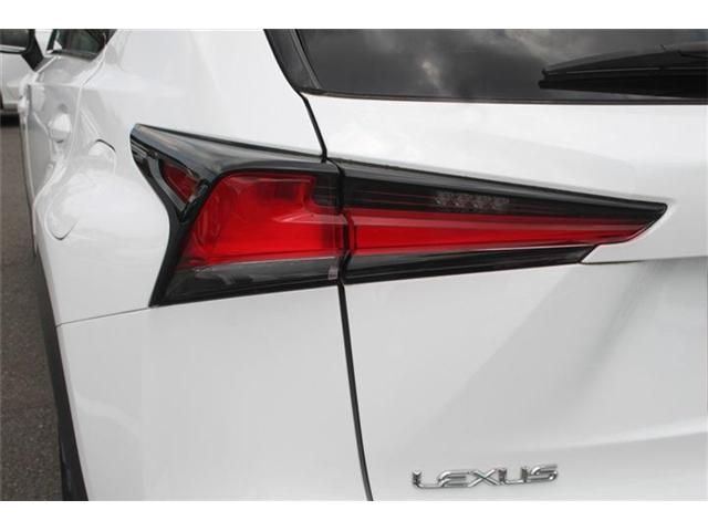 LEXUS NX300