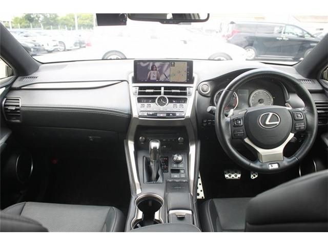 LEXUS NX300