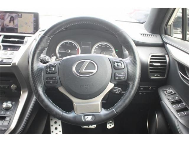 LEXUS NX300