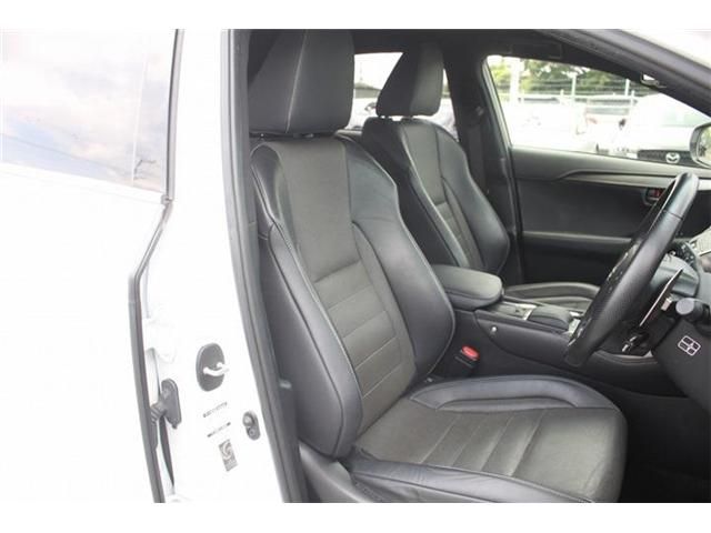 LEXUS NX300