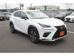 LEXUS NX300