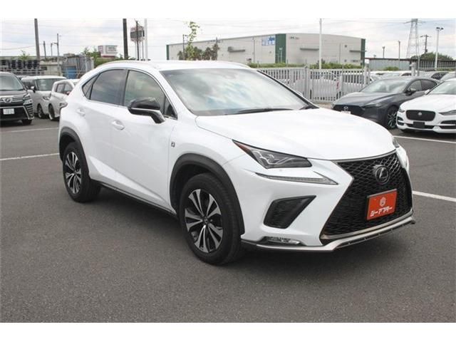 LEXUS NX300