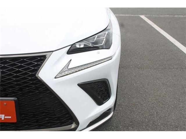 LEXUS NX300