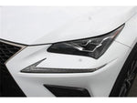 LEXUS NX300