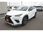 LEXUS NX300