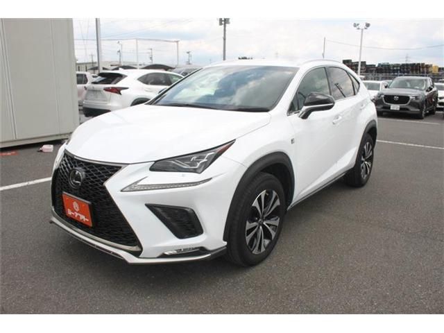 LEXUS NX300