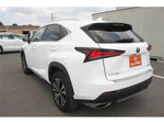 LEXUS NX300