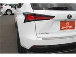 LEXUS NX300
