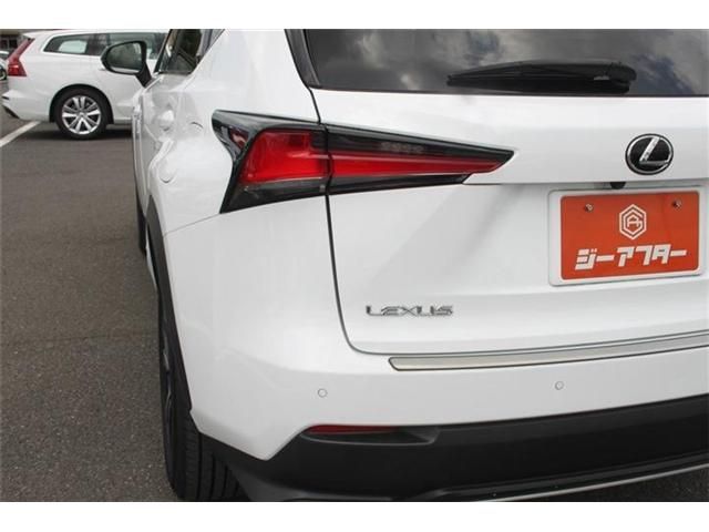 LEXUS NX300